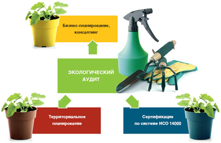 Экологический аудит картинки